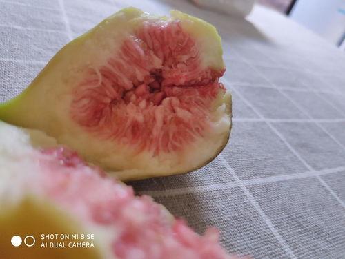 娱乐吃瓜酱密集恐惧症,娱乐吃瓜酱的惊悚之旅  第2张