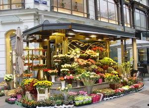 唐山花店吃瓜免费,吃瓜免费,共享夏日清凉时光 第2张 唐山花店吃瓜免费,吃瓜免费,共享夏日清凉时光 第2张