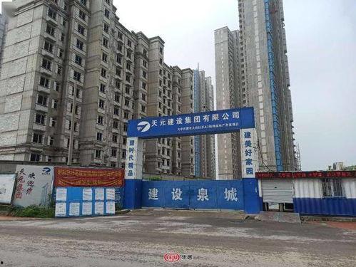 文峰最新爆料消息今天,揭秘娱乐圈惊人内幕  第2张